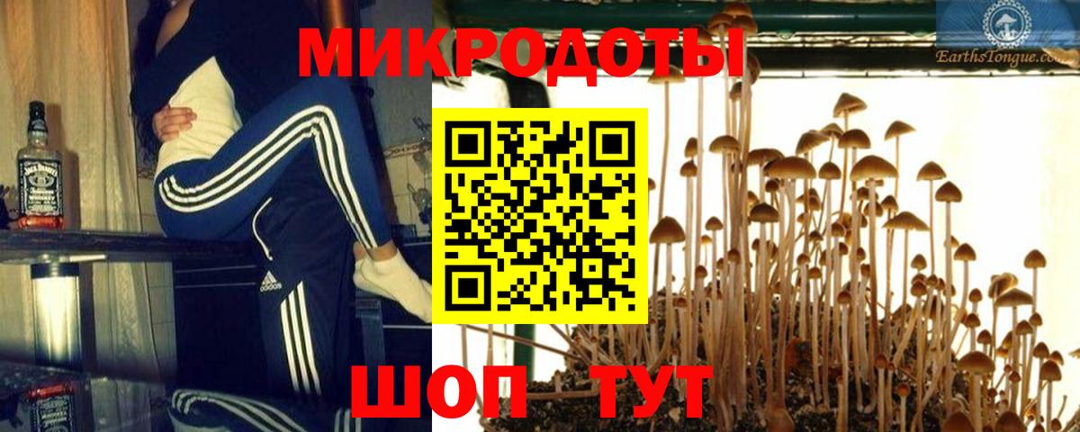 Галлюциногенные грибы GOLDEN TEACHER  закладки  Ишим  Вход с VPN 
