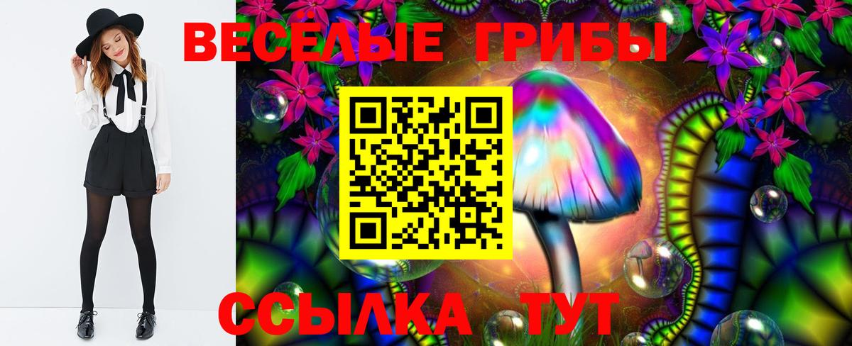 Псилоцибиновые грибы ЛСД Ишим